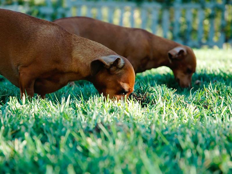 sudoku timer challenge screenshot 1